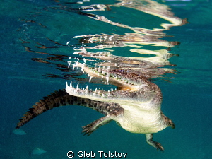 Close... by Gleb Tolstov 